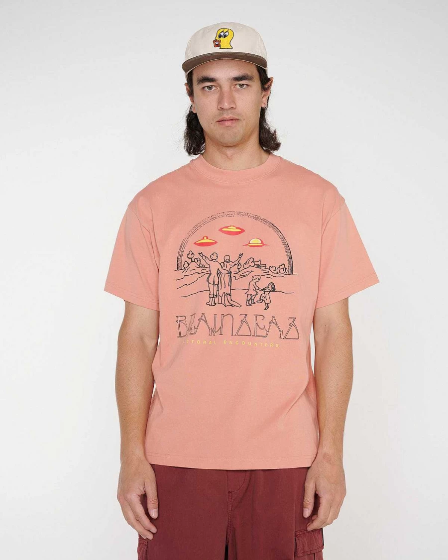 Pastoral Encounters T-Shirt - Dusty Rose